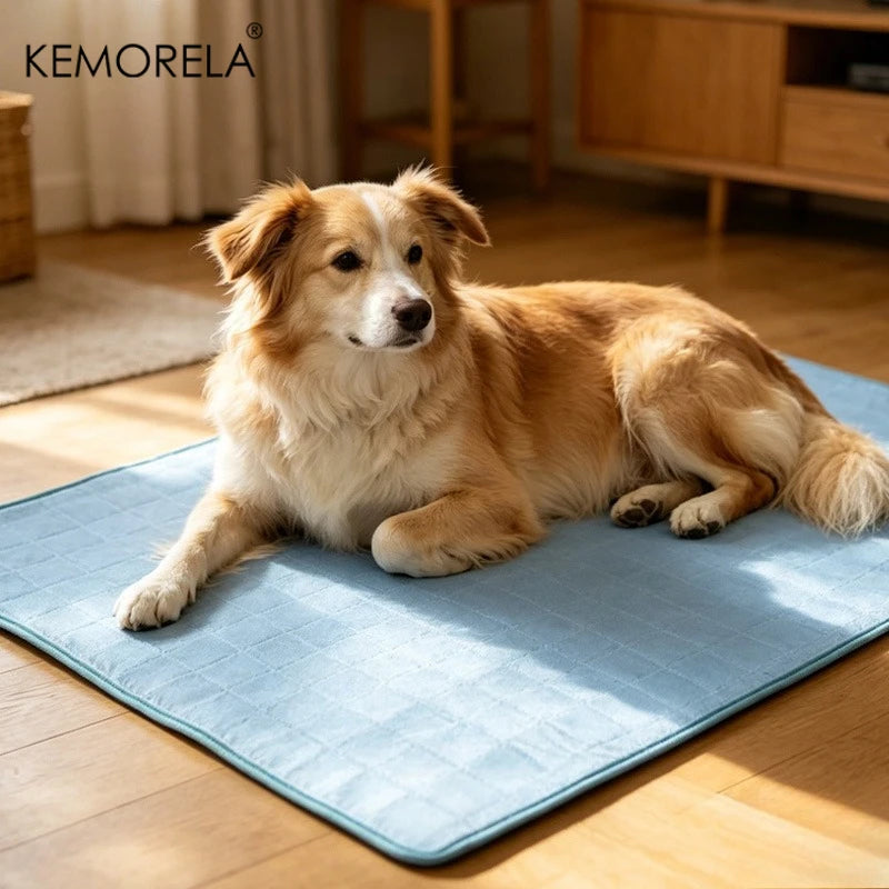 Dog Cooling Mat packaging
